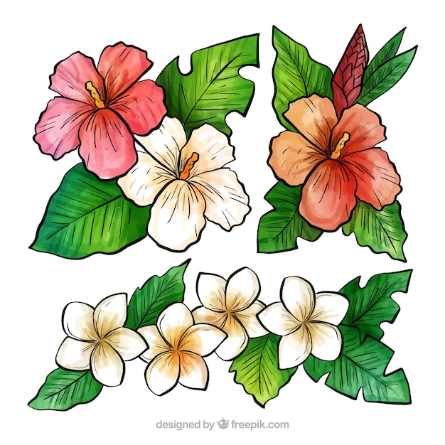 熱帯の花の水彩画の素敵なセット
