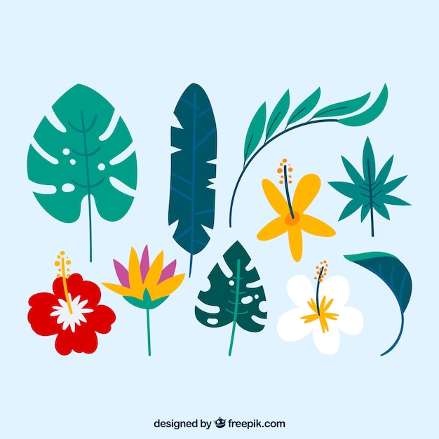 Lovely tropical leaf collection with flat design