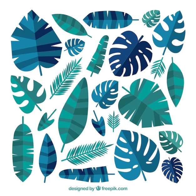 Free vector lovely tropical leaf collection with flat design