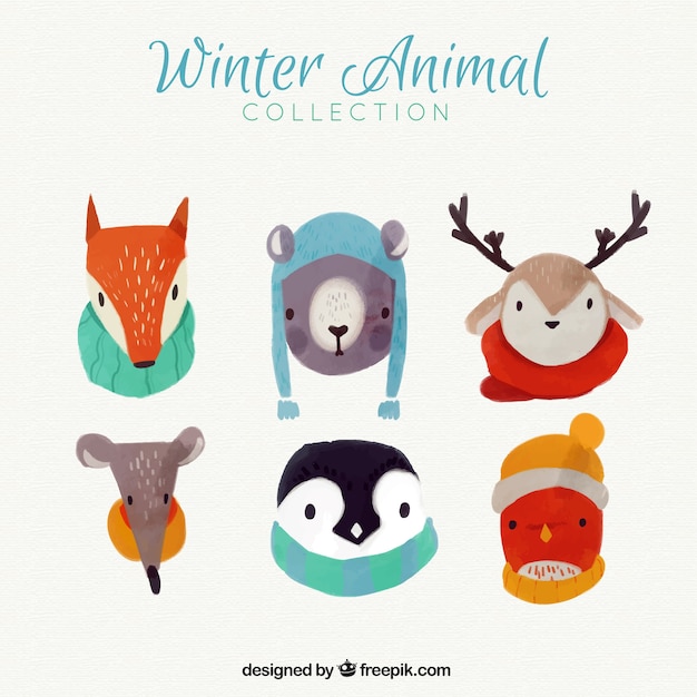 Free vector lovely watercolor animals with winter accessories
