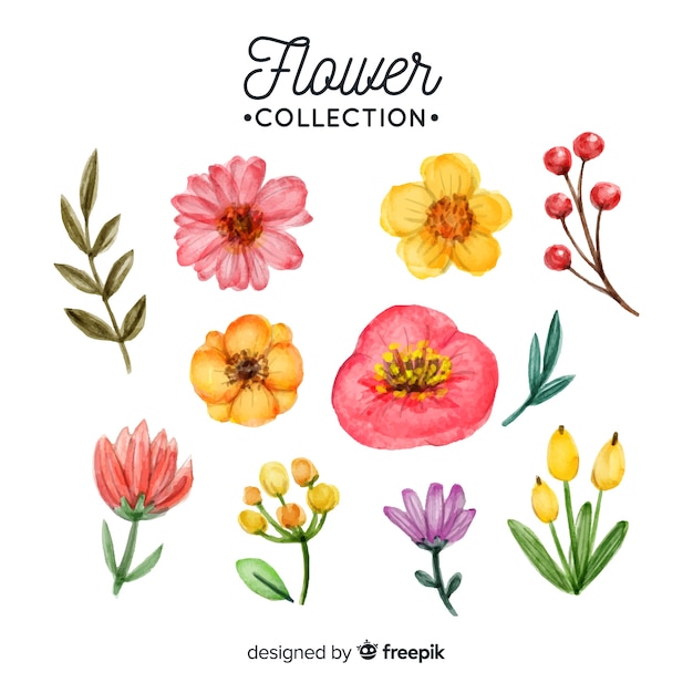 Free vector lovely watercolor flower collection