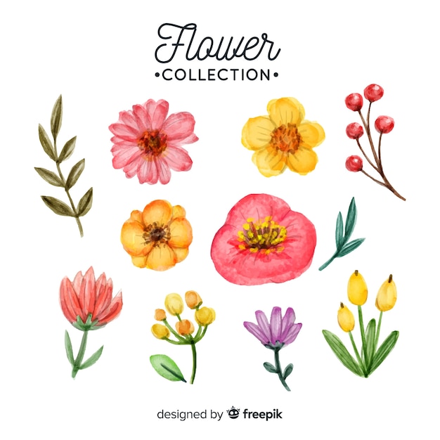 Прекрасная коллекция акварельных цветов