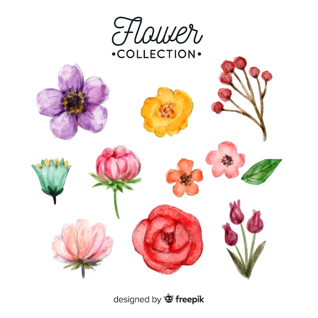 Free vector lovely watercolor flower collection