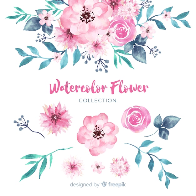 Lovely watercolor flowers collection