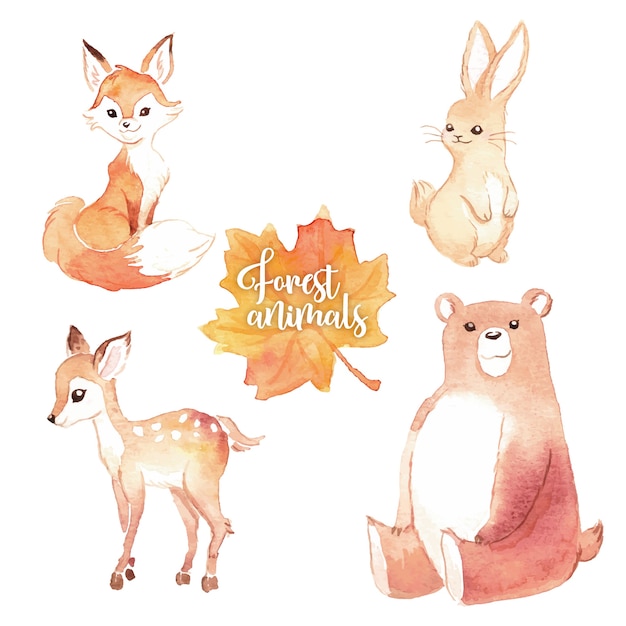 Lovely watercolor forest animals