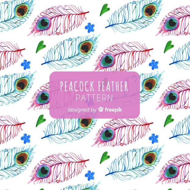 Free vector lovely watercolor peacock feather pattern