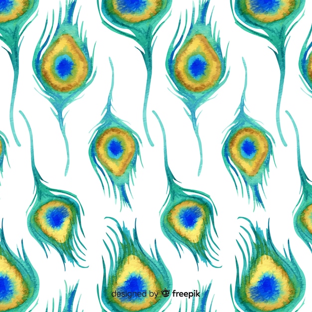 素敵な水彩の孔雀の羽のパターン