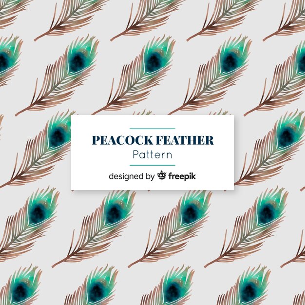 Lovely watercolor peacock feather pattern