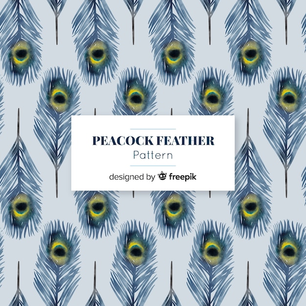 Lovely watercolor peacock feather pattern