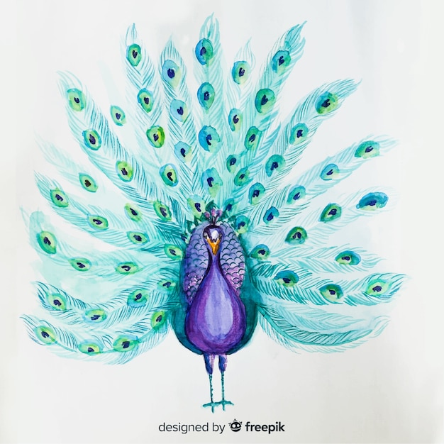 Free vector lovely watercolor peacock