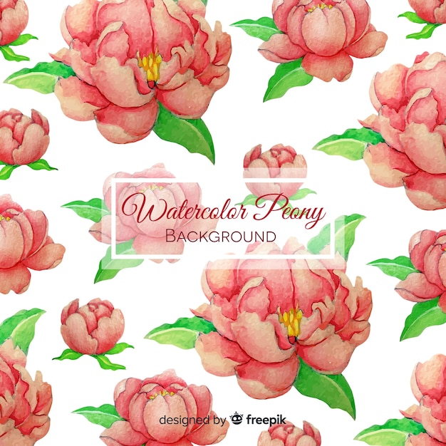 Lovely watercolor peony flower background