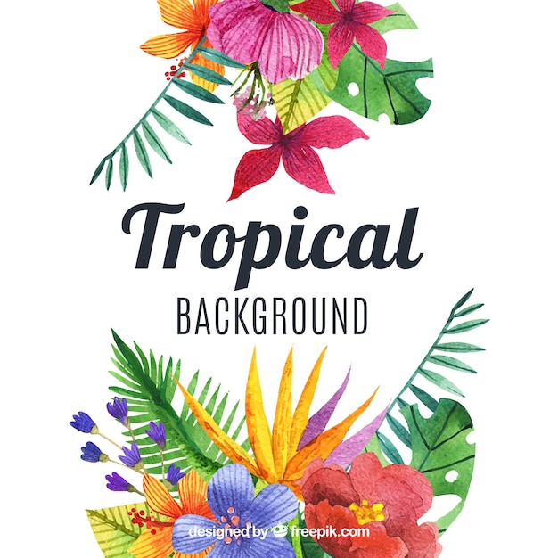 Free vector lovely watercolor tropical background