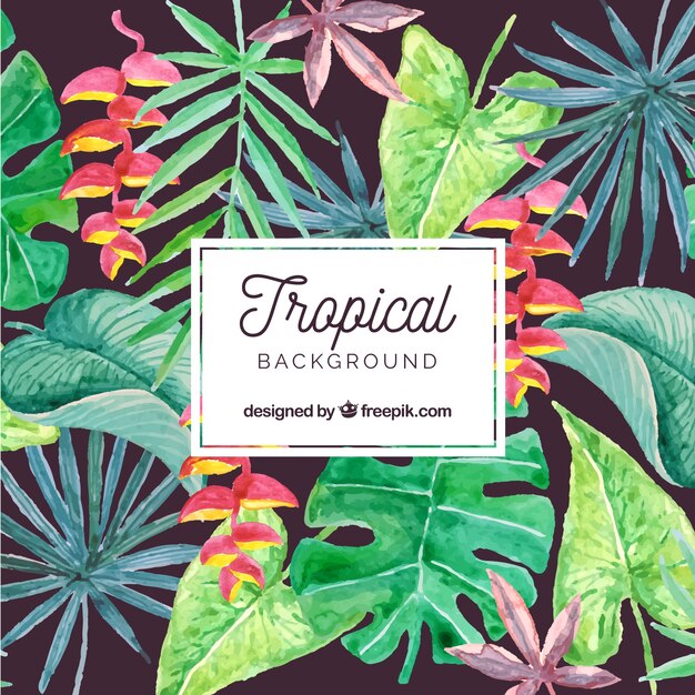 Lovely watercolor tropical background
