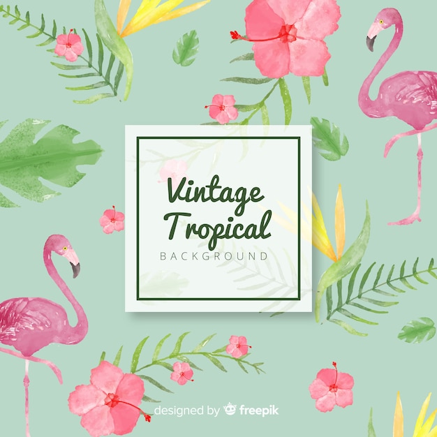 Lovely watercolor tropical background