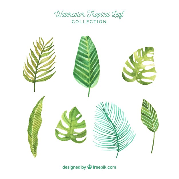 lovely watercolor tropical leaf collection