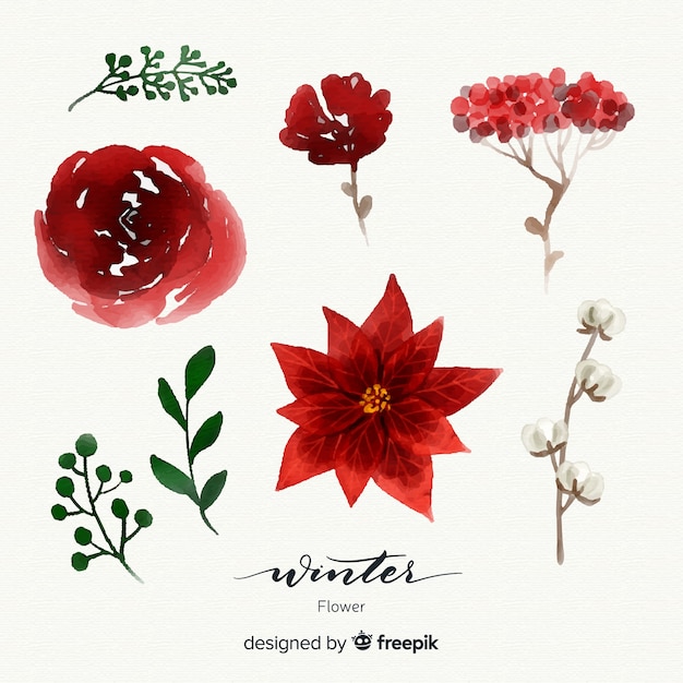 Free vector lovely watercolor winter flower collection