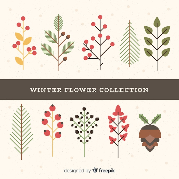 Lovely winter flowers collection