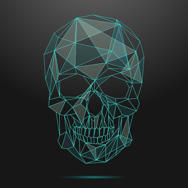 Free vector low poly skull. thin line skull. skull linear, low poly head skull, shape geometric line skull illustration