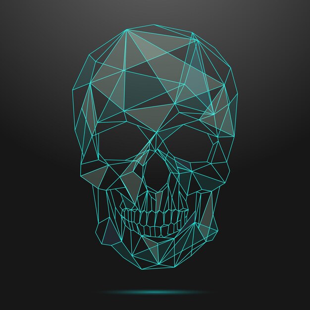Low poly skull. Thin line skull. Skull linear, low poly head skull, shape geometric line skull illustration