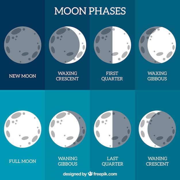 Free vector lunar phase calendar