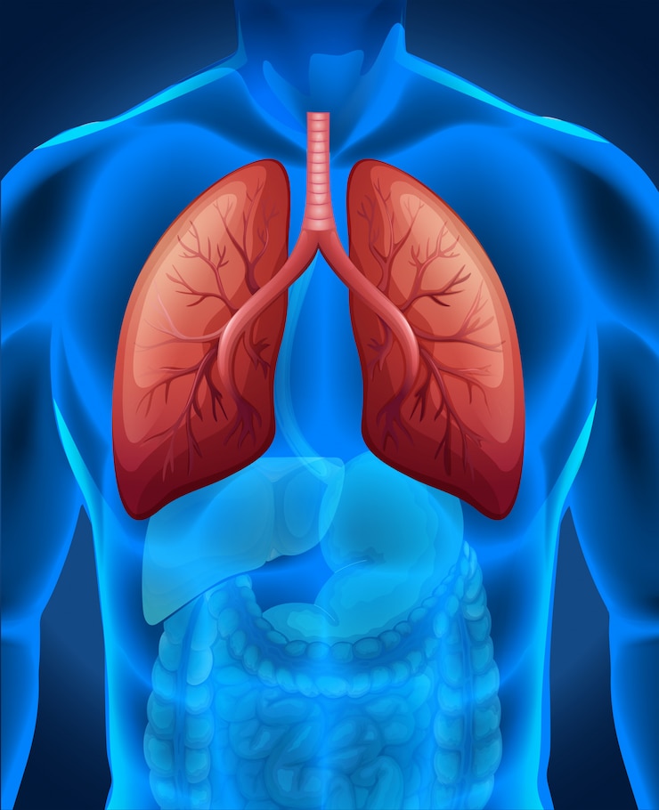 मुफ़्त वेक्टर lung cancer in human