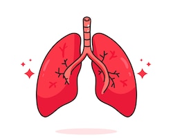Free vector lung human anatomy biology organ body system health care and medical hand drawn cartoon art illustration