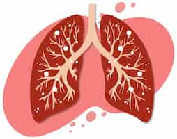 Free vector lungs in flat icon style