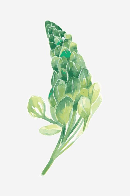 Lupine flower vector drawing element graphic