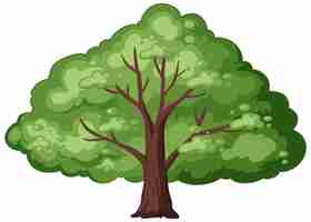 Free vector lush green tree vector illustration