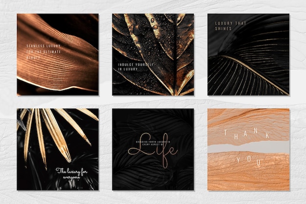 Luxurious branding on a leaf background collection design resource