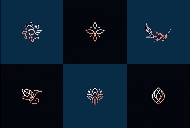 Luxury abstract leaf logo design illustration