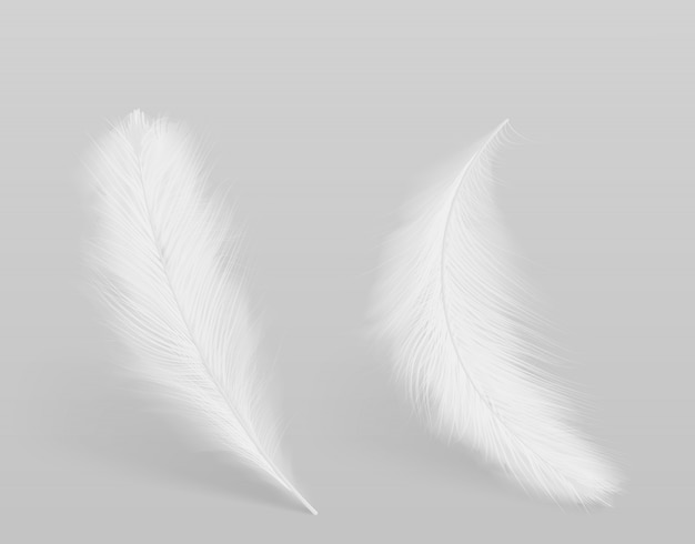 Lying, falling birds clean white, fluffy feathers 3d realistic vector isolated with shadows. Softness and grace, purity and tenderness concept design element. Lightweight symbol