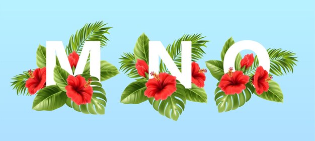夏の熱帯の葉と赤いハイビスカスの花に囲まれたMNOの文字