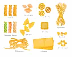 Free vector macaroni types set