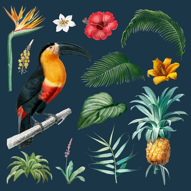 Free vector macaw foliage illustration