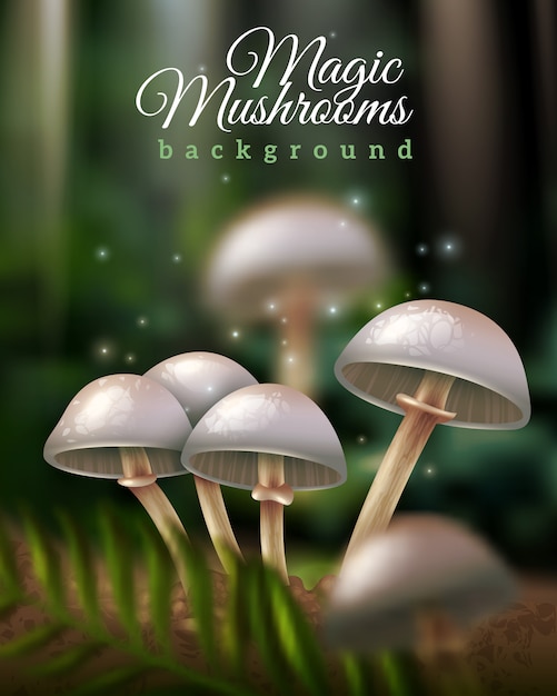 Free vector magic mushrooms background