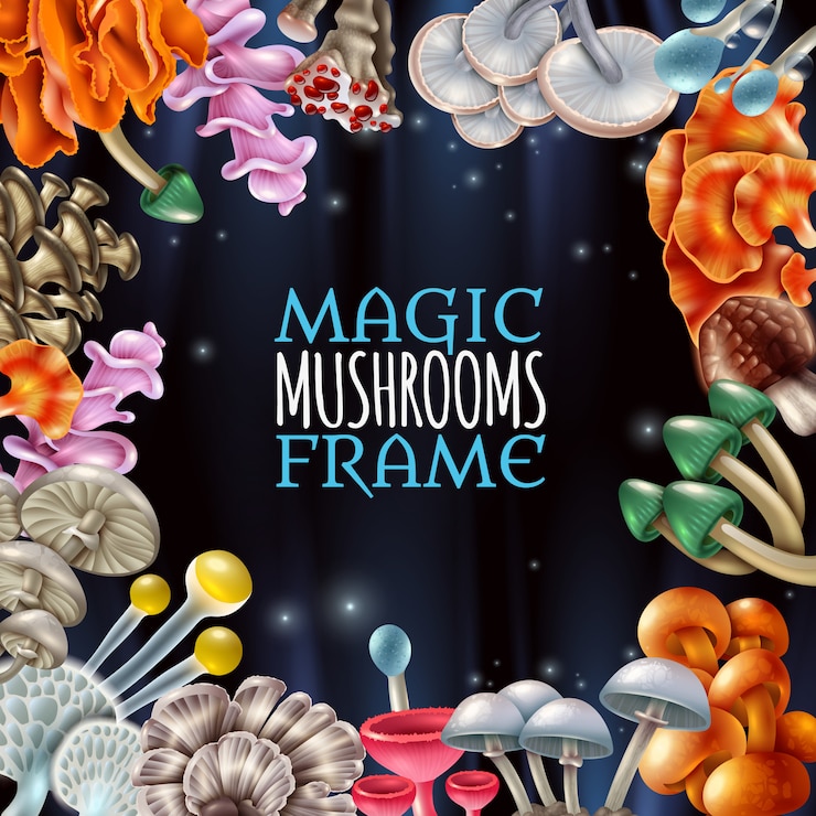 Free Vector magic mushrooms frame background