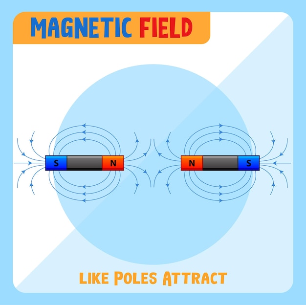 Free vector magnetic field of like poles attract