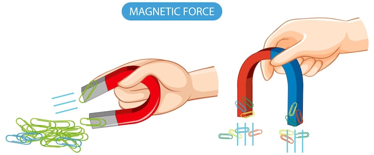 मुफ़्त वेक्टर magnetic force with magnet and clips
