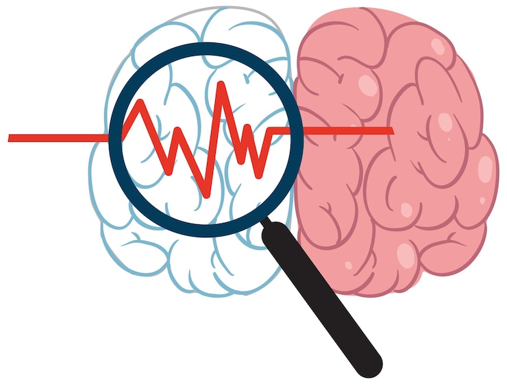 Free Vector magnify glass and human brain