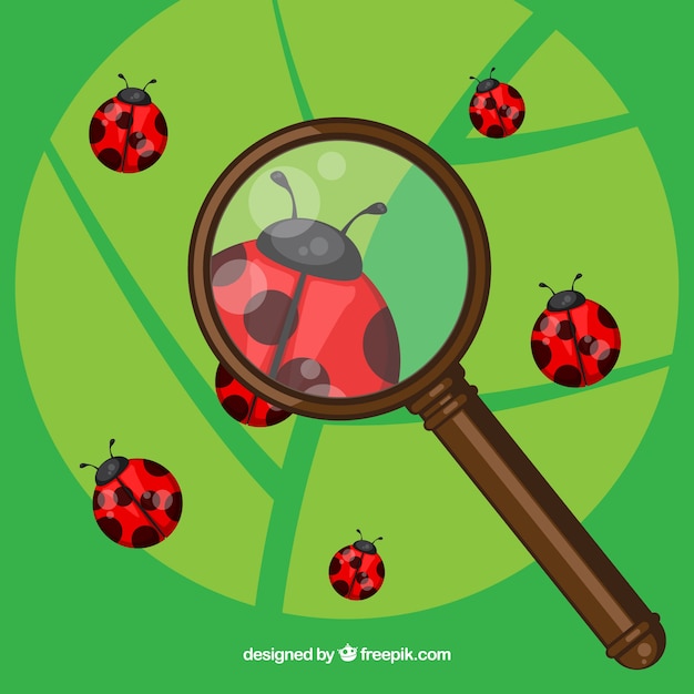 Free vector magnifying glass with ladybugs in flat style