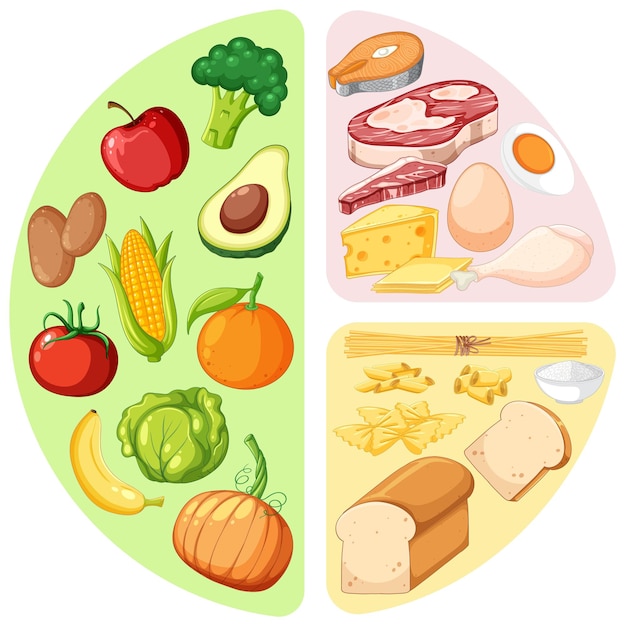 https://img.freepik.com/free-vector/main-food-groups-macronutrients-vector_1308-127634.jpg?size=626&ext=jpg&ga=GA1.1.1222169770.1702252800&semt=ais