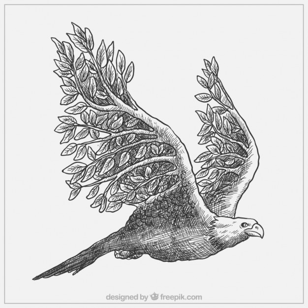 Free Vector majestic hand drawn eagle with branches