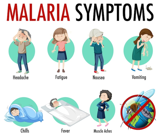 Бесплатное векторное изображение Инфографика информации о симптомах малярии