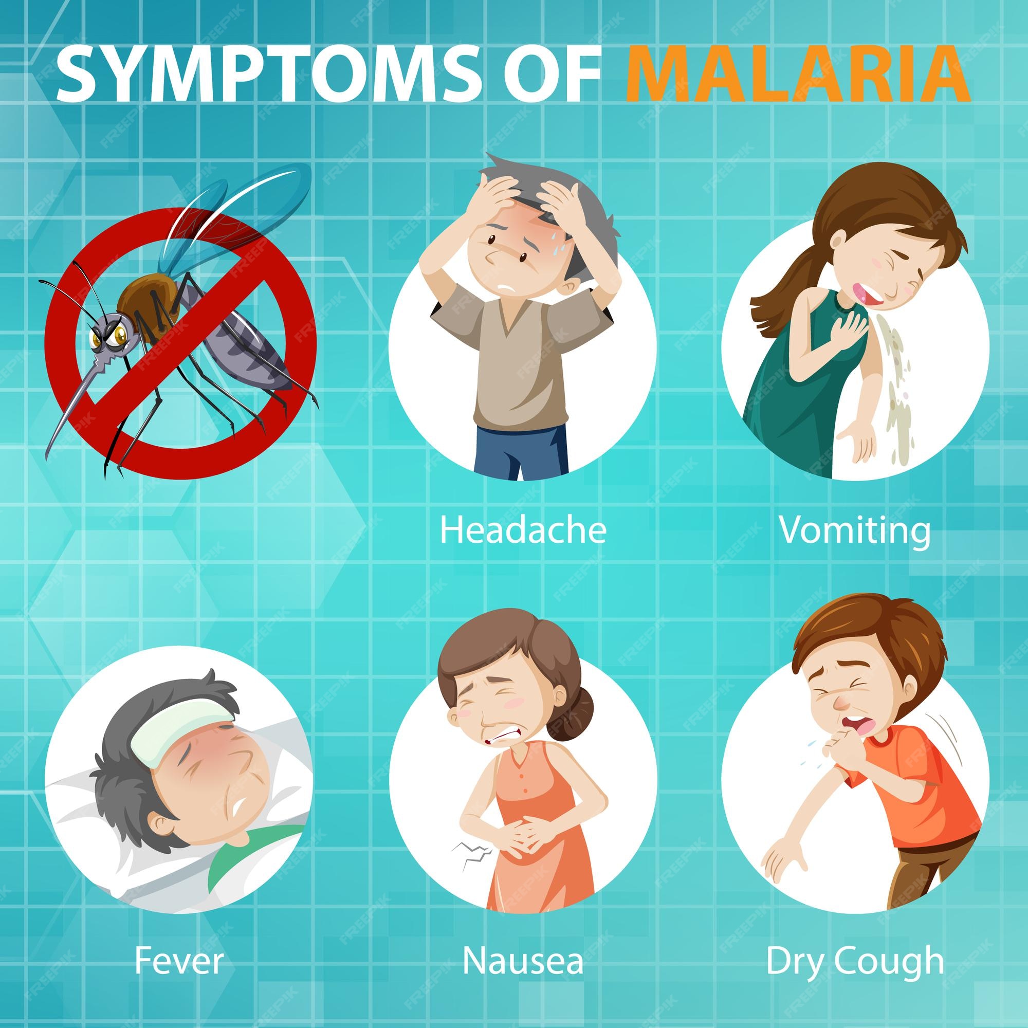 Free Vector | Malaria symptoms cartoon style infographic