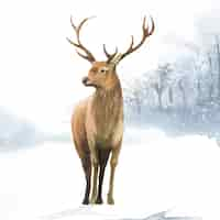 Free vector male deer painted by watercolor vector