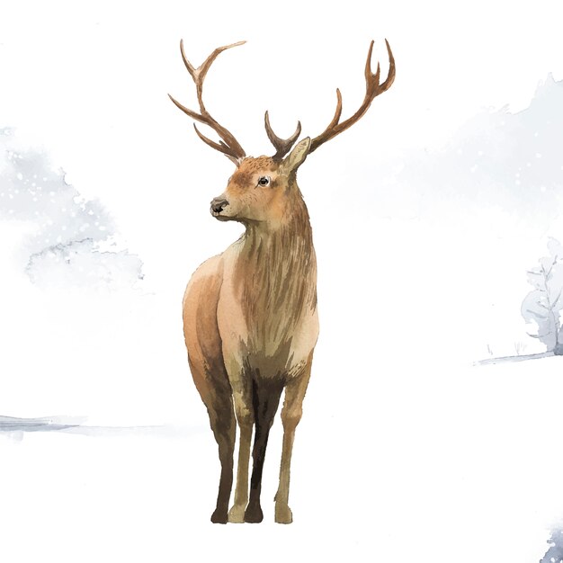 Male deer painted by watercolor vector