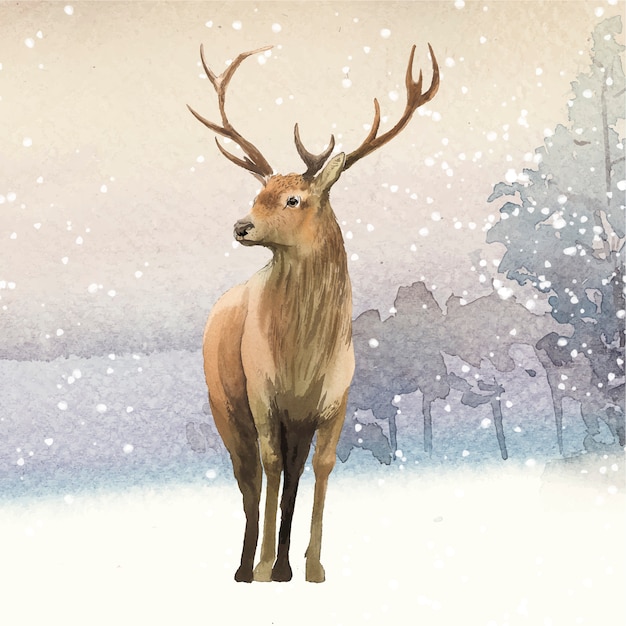 Male deer painted by watercolor vector