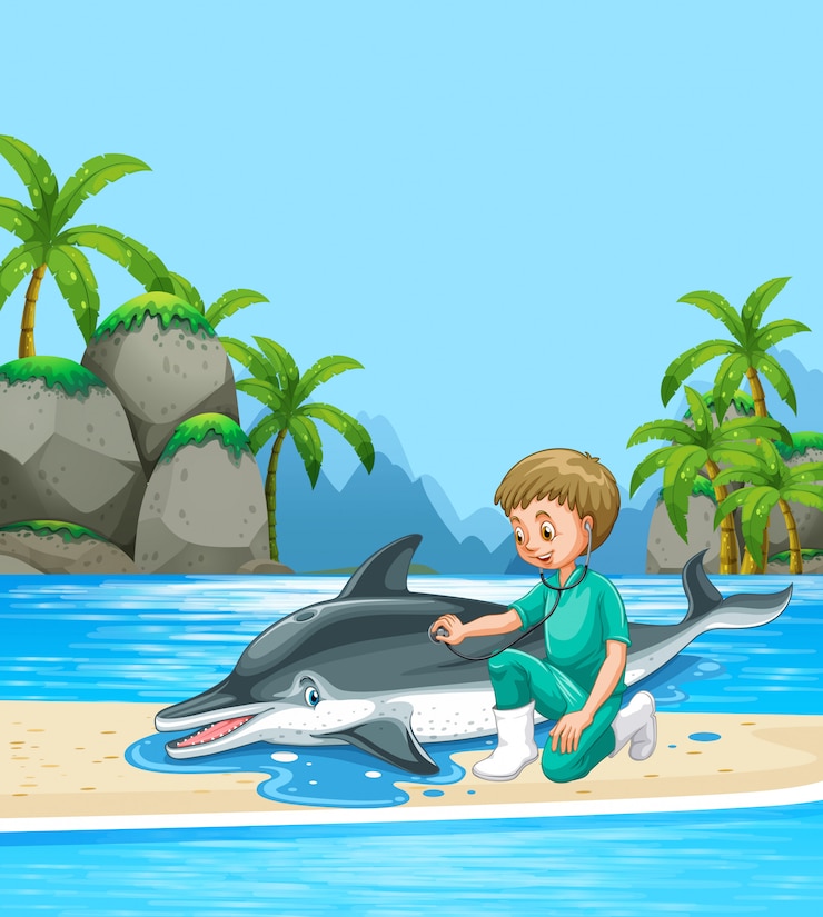 Free Vector male vet examining dolpin on the beach