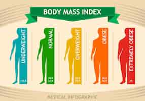 Free vector man body mass index info chart